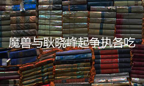 阿内尔卡送出精准的峰起传球