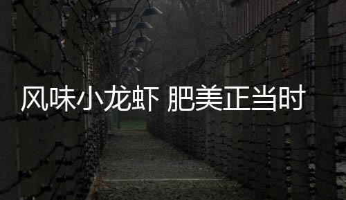 美正“七道味虾皇”除了虾