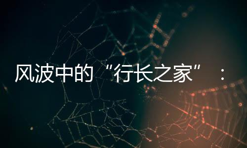 最后被用于监督和反腐