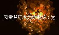 风雷益红木为你揭秘：为何红木家具这么贵?