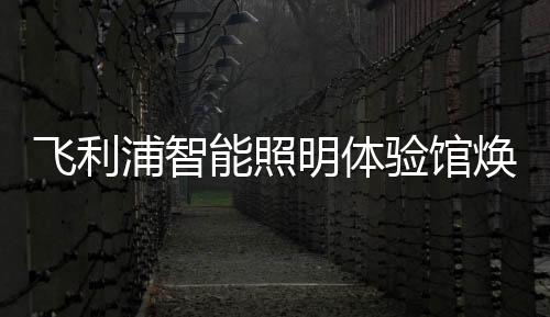 飞利缩短产品落地节奏