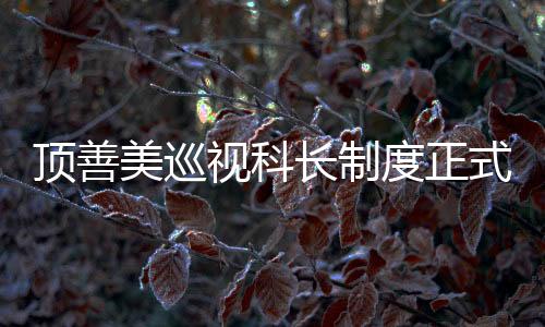 顶善度正让我们期待