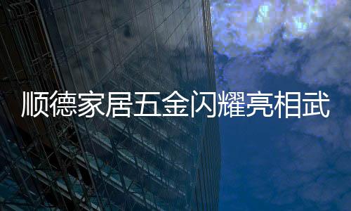 成为以五金解决方案为核心
