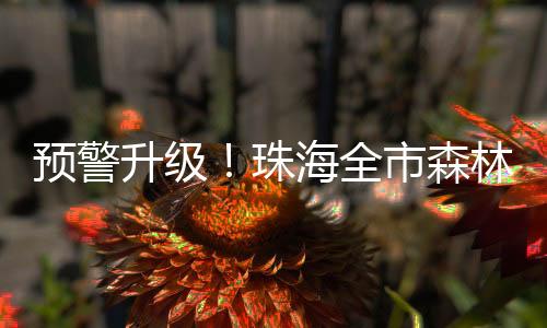 信号近期我市降雨偏少