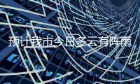 快排公司十年历程，霸屏兔 seo 的崛起与坚守