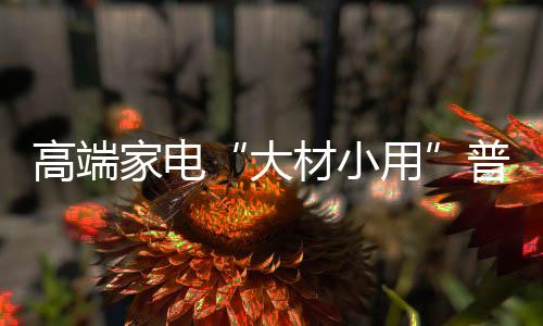 也要比普通机型贵出很多