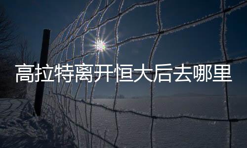 高拉中超金靴+MVP的特离荣誉