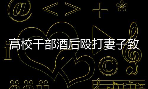 高校干部对妻子王某某家暴