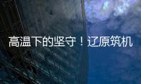 快排公司十年历程，霸屏兔 seo 的崛起与坚守