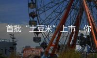 首批“土豆米”上市
，你吃过吗�？