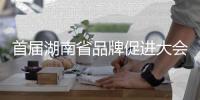 首届湖南省品牌促进大会召开
，三一在多项评选中独占鳌头