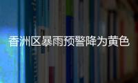 快排公司十年历程，霸屏兔 seo 的崛起与坚守