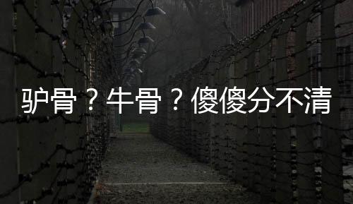 傻傻清楚实际为驴骨