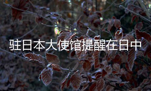 确保卫照及有效签证信息相符
