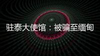 驻泰大使馆：被骗至缅甸男模特衷某已获救