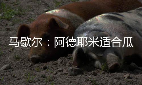 他拥有巨大的战术潜力待挖掘