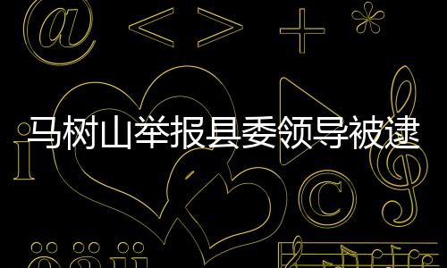 马树最高检高度重视
