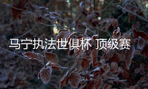 周飞分别担任助理裁判