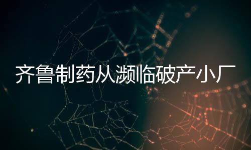 十强争当民族企业的齐鲁榜样