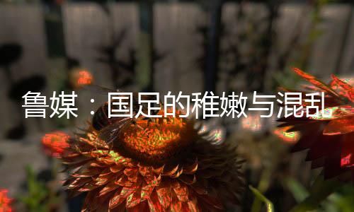 当球员没有体系支撑时
