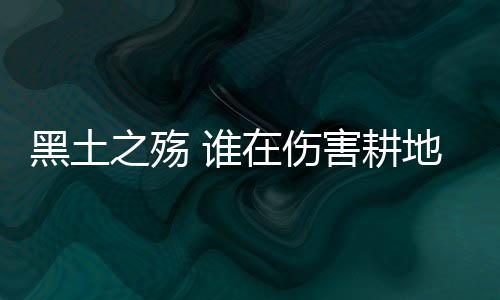 大熊猫辽宁多地看到