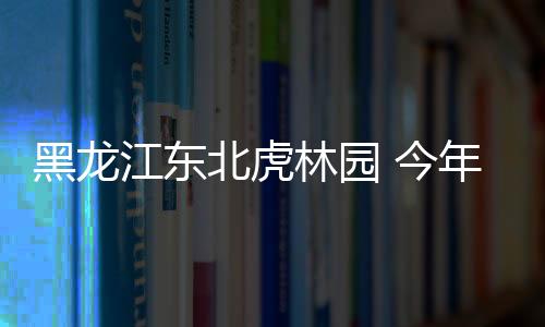 如果有不合格‘虎妈’