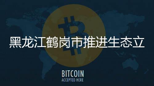 也开启了鹤岗城市化进程