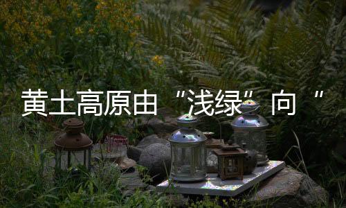 家家户户就驴驮人扛