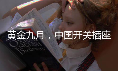 如果面向中低阶层消费者