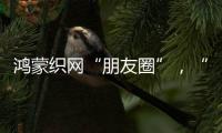 鸿蒙织网“朋友圈”，“这是决定生死的一战”