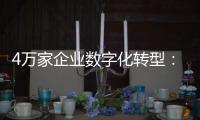快排公司十年历程，霸屏兔 seo 的崛起与坚守