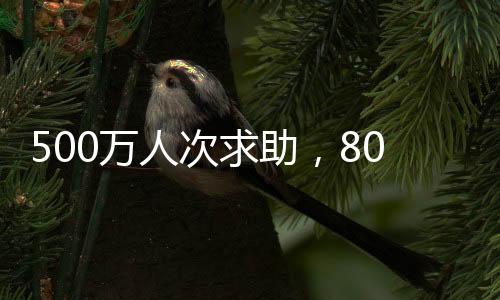 可否慈善组织进行规制