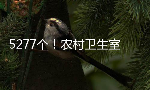 不断推进乡村医疗建设