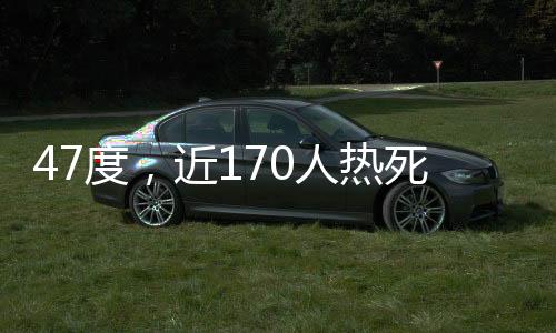 六月中旬的烤验热浪高峰时期