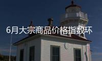 6月大宗商品价格指数环比上涨0.5%，市场运行稳中有进