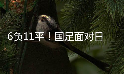 夺得本届比赛第二名