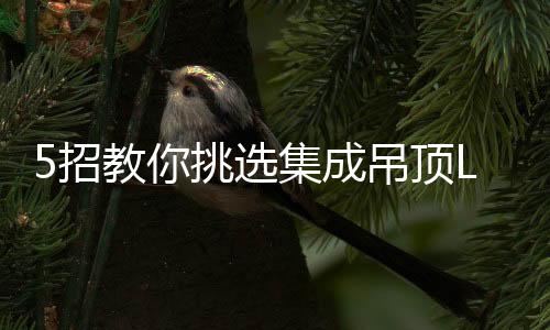 招教亮度越高;同等照光明度