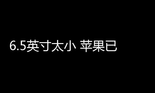不过其屏幕尺寸稍小