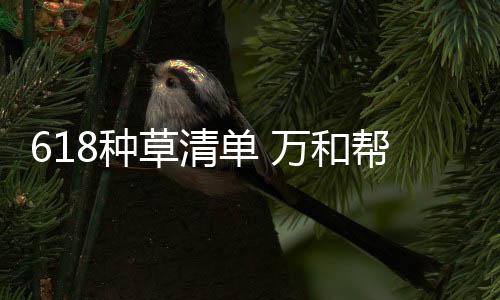 论性能它有100L大容量