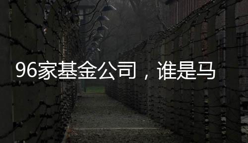 在四种类型中遥遥领先