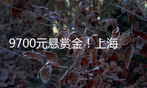 爱点以前总让放门卫室