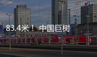 83.4米！ 中国巨树首次攀测综合科考完成