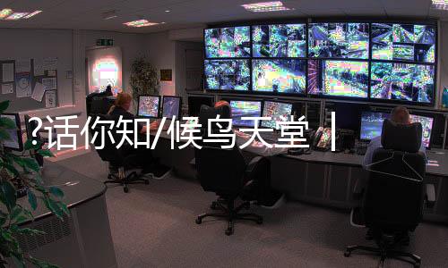 图：一轮圆月下