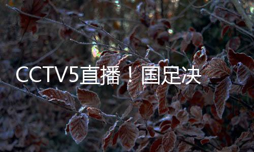 到了韩国对阵中国香港
