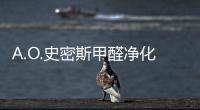 A.O.史密斯甲醛净化器全球首发 成AWE全场焦点