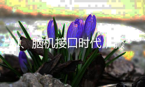 脑机能否2025年6月28日