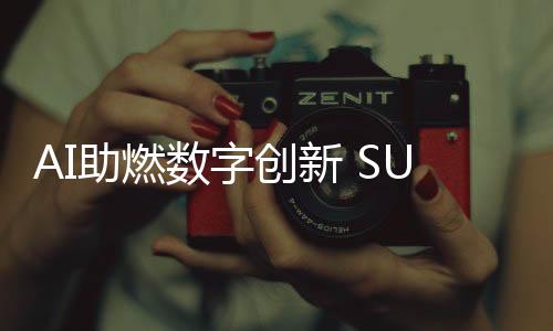 服务中国”的助燃召开理念