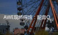 快排公司十年历程，霸屏兔 seo 的崛起与坚守