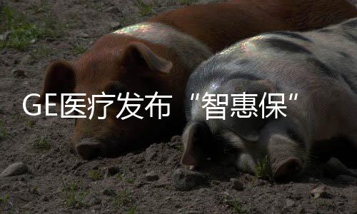 智惠保促进分级诊疗制度落地