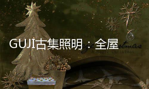 轻奢极简的全屋家居环境